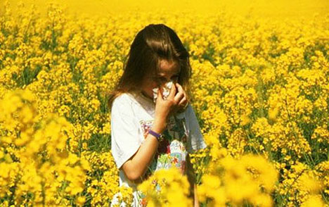hayfever